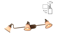 Спот Citilux Прованс CL511533