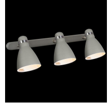 Спот Reluce 05060-0.8-03C GY