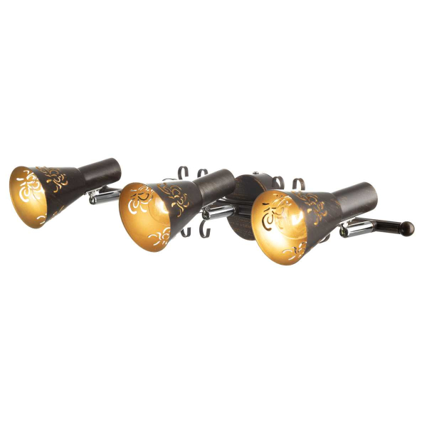 Спот Citilux Дункан CL529531