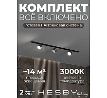 Встраиваемая однофазная трековая система Hesby Lighting Skylite №13 со светильниками HSBL_kompl_S013_VI1B3K