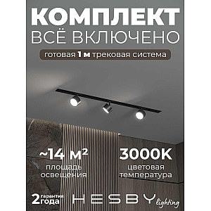 Встраиваемая однофазная трековая система Hesby Lighting Skylite №13 со светильниками HSBL_kompl_S013_VI1B3K