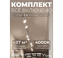 Накладная однофазная трековая система Hesby Lighting Skylite №13 со светильниками HSBL_kompl_S013_NI4W4K