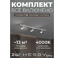 Накладная однофазная трековая система Hesby Lighting Skylite №3 со светильниками HSBL_kompl_S003_NI1W4K