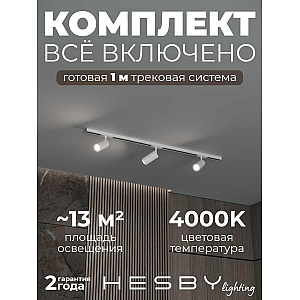 Накладная однофазная трековая система Hesby Lighting Skylite №3 со светильниками HSBL_kompl_S003_NI1W4K