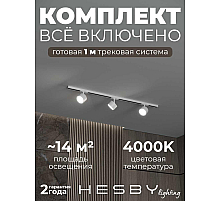 Накладная однофазная трековая система Hesby Lighting Skylite №13 со светильниками HSBL_kompl_S013_NI1W4K