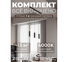 Накладная однофазная трековая система Hesby Lighting Skylite №12 со светильниками HSBL_kompl_S012_NI1B4K