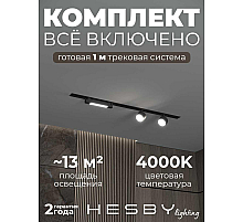 Встраиваемая однофазная трековая система Hesby Lighting Skylite №14 со светильниками HSBL_kompl_S014_VI1B4K