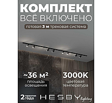 Накладная однофазная трековая система Hesby Lighting Skylite №3 со светильниками HSBL_kompl_S003_NI3B3K