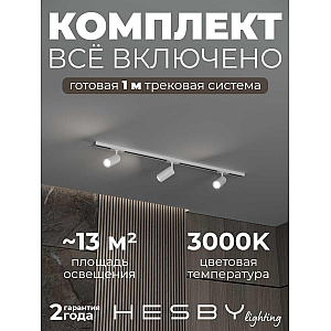 Накладная однофазная трековая система Hesby Lighting Skylite №3 со светильниками HSBL_kompl_S003_NI1W3K