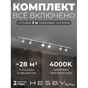 Накладная однофазная трековая система Hesby Lighting Skylite №13 со светильниками HSBL_kompl_S013_NI2W4K