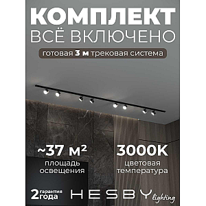Накладная однофазная трековая система Hesby Lighting Skylite №13 со светильниками HSBL_kompl_S013_NI3B3K