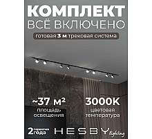 Встраиваемая однофазная трековая система Hesby Lighting Skylite №13 со светильниками HSBL_kompl_S013_VI3B3K