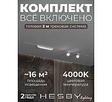 Встраиваемая однофазная трековая система Hesby Lighting Skylite №14 со светильниками HSBL_kompl_S014_VI2W4K