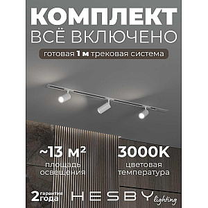 Встраиваемая однофазная трековая система Hesby Lighting Skylite №3 со светильниками HSBL_kompl_S003_VI1W3K