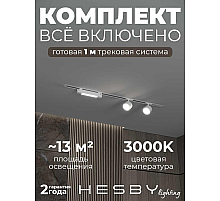 Встраиваемая однофазная трековая система Hesby Lighting Skylite №14 со светильниками HSBL_kompl_S014_VI1W3K