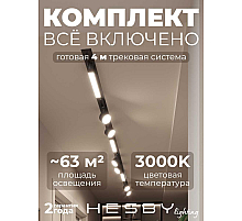 Встраиваемая однофазная трековая система Hesby Lighting Skylite №14 со светильниками HSBL_kompl_S014_VI4B3K