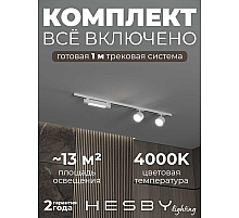 Накладная однофазная трековая система Hesby Lighting Skylite №14 со светильниками HSBL_kompl_S014_NI1W4K