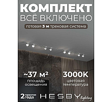 Встраиваемая однофазная трековая система Hesby Lighting Skylite №13 со светильниками HSBL_kompl_S013_VI3W3K