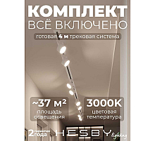 Встраиваемая однофазная трековая система Hesby Lighting Skylite №13 со светильниками HSBL_kompl_S013_VI4W3K