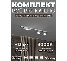 Накладная однофазная трековая система Hesby Lighting Skylite №14 со светильниками HSBL_kompl_S014_NI1W3K