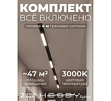 Встраиваемая однофазная трековая система Hesby Lighting Skylite №1 со светильниками HSBL_kompl_S001_VI4B3K