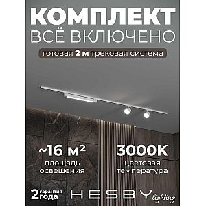Накладная однофазная трековая система Hesby Lighting Skylite №14 со светильниками HSBL_kompl_S014_NI2W3K