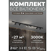 Накладная однофазная трековая система Hesby Lighting Skylite №3 со светильниками HSBL_kompl_S003_NI2B3K