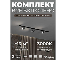 Встраиваемая однофазная трековая система Hesby Lighting Skylite №3 со светильниками HSBL_kompl_S003_VI1B3K