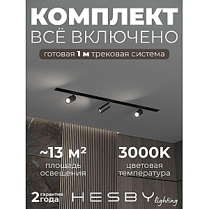 Встраиваемая однофазная трековая система Hesby Lighting Skylite №3 со светильниками HSBL_kompl_S003_VI1B3K