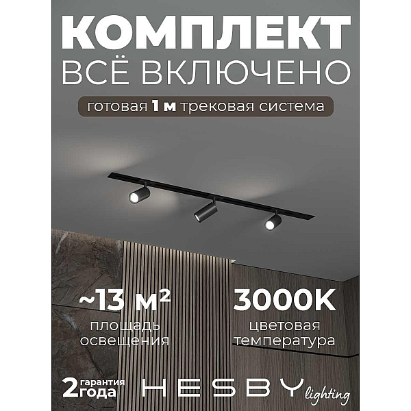 Встраиваемая однофазная трековая система Hesby Lighting Skylite №3 со светильниками HSBL_kompl_S003_VI1B3K