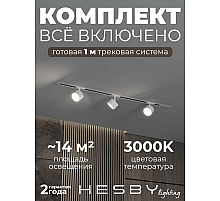 Встраиваемая однофазная трековая система Hesby Lighting Skylite №13 со светильниками HSBL_kompl_S013_VI1W3K