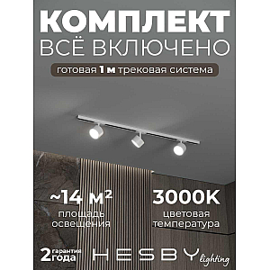 Накладная однофазная трековая система Hesby Lighting Skylite №13 со светильниками HSBL_kompl_S013_NI1W3K