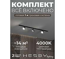 Встраиваемая однофазная трековая система Hesby Lighting Skylite №13 со светильниками HSBL_kompl_S013_VI1B4K