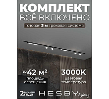 Встраиваемая однофазная трековая система Hesby Lighting Skylite №14 со светильниками HSBL_kompl_S014_VI3B3K
