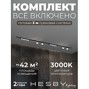 Встраиваемая однофазная трековая система Hesby Lighting Skylite №14 со светильниками HSBL_kompl_S014_VI3B3K