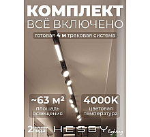 Встраиваемая однофазная трековая система Hesby Lighting Skylite №14 со светильниками HSBL_kompl_S014_VI4B4K
