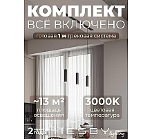 Встраиваемая однофазная трековая система Hesby Lighting Skylite №12 со светильниками HSBL_kompl_S012_VI1B3K