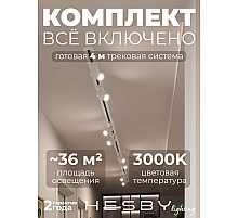 Встраиваемая однофазная трековая система Hesby Lighting Skylite №3 со светильниками HSBL_kompl_S003_VI4W3K