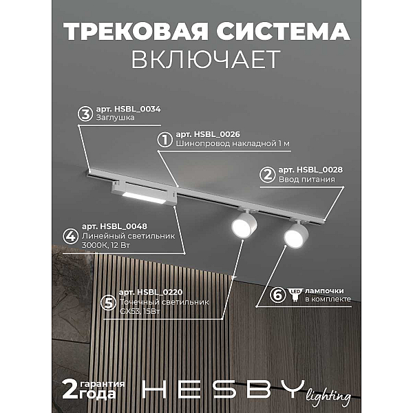 Накладная однофазная трековая система Hesby Lighting Skylite №14 со светильниками HSBL_kompl_S014_NI1W3K