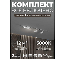 Встраиваемая однофазная трековая система Hesby Lighting Skylite №5 со светильниками HSBL_kompl_S005_VI1W3K
