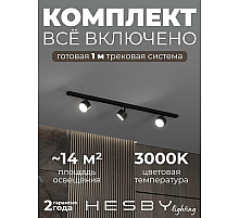 Накладная однофазная трековая система Hesby Lighting Skylite №13 со светильниками HSBL_kompl_S013_NI1B3K
