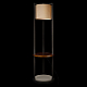 Торшер Loft IT Nora 10575F