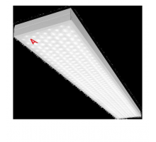 Потолочный светильник WOLTA Pro ДПО01-72-142-6К