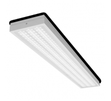 Потолочный светильник WOLTA STD ДПО13-54-102-6К