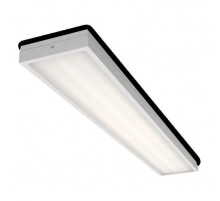 Потолочный светильник WOLTA Pro ДПО03-54-101-4К