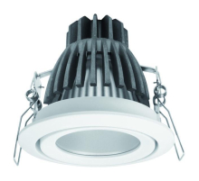 Карданный светильник Kanlux DAGO POWER LED DLP-10 8900