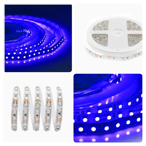 Светодиодная лента Apeyron 9,6W/m 120LED/m 3528SMD синий 5M 00-18 Светодиодная лента Apeyron 9,6W/m 120LED/m 3528SMD синий 5M 00-18