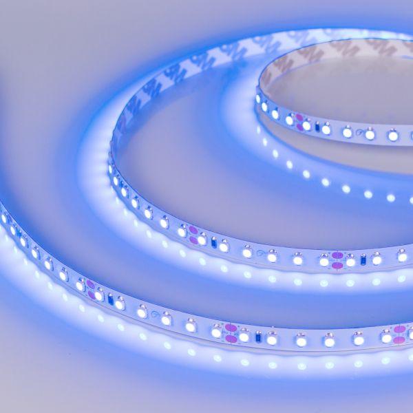 Светодиодная лента Arlight 9,6W/m 120LED/m 2835SMD синий 5M 008783(2) Светодиодная лента Arlight 9,6W/m 120LED/m 2835SMD синий 5M 008783(2)