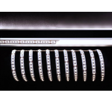 Лента светодиодная Deko-Light 2835-120-24V-6000K-5m 840124