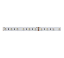 Светодиодная лента Arlight 19,2W/m 60LED/m 5060SMD разноцветный/дневной белый 5M 019151(2)